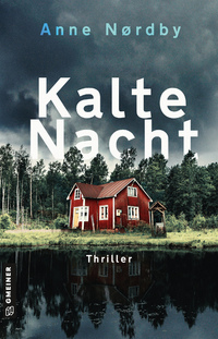 Kalte Nacht - Tom Skagens zweiter Fall