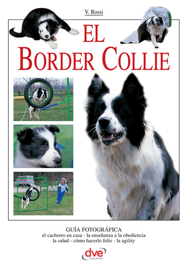 El border collie - cover