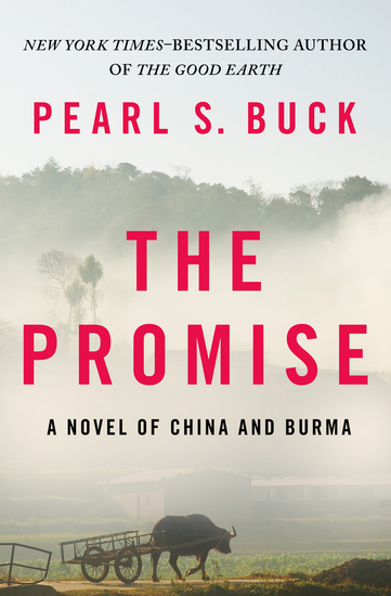 The Promise - A Novel of China and Burma - cover