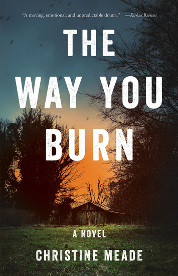 The Way You Burn - A Novel - cover