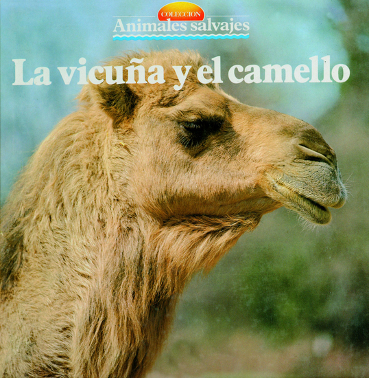 La vicuña y el camello - cover