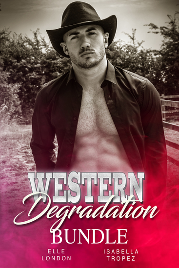 Western Degradation Bundle - cover
