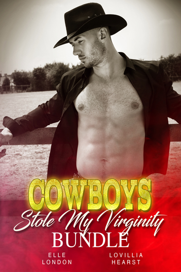 Cowboys Stole My Virginity Bundle - cover