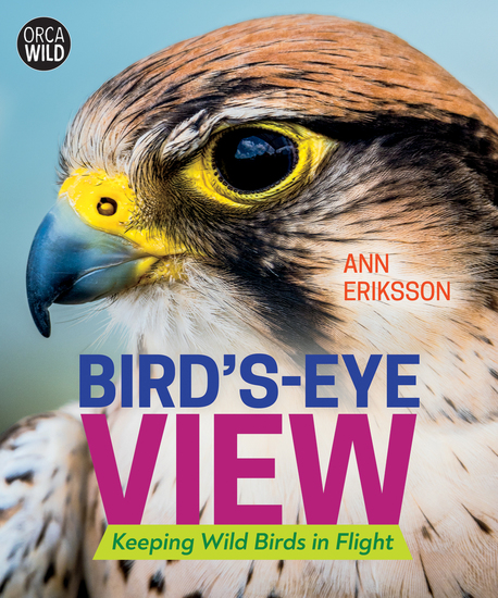 Bird's-Eye View - Keeping Wild Birds in Flight - cover