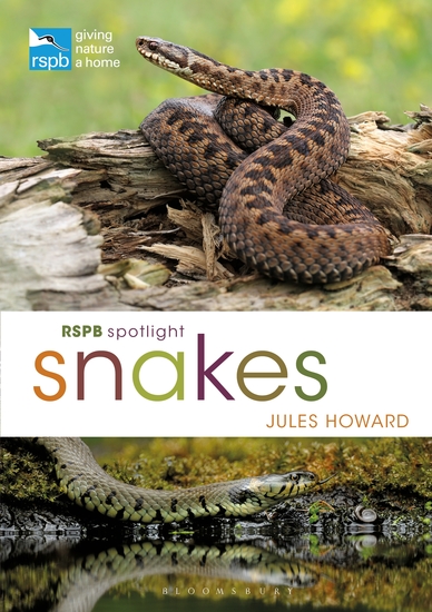 RSPB Spotlight Snakes - cover