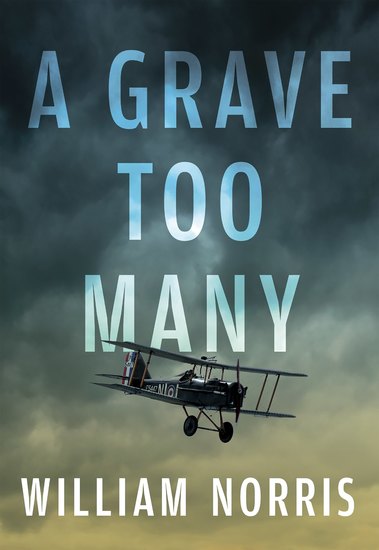 A Grave Too Many - cover