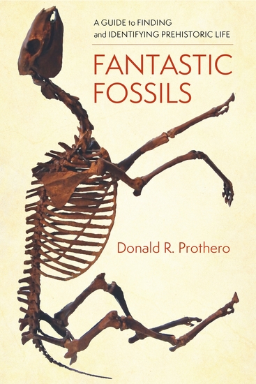 Fantastic Fossils - A Guide to Finding and Identifying Prehistoric Life - cover