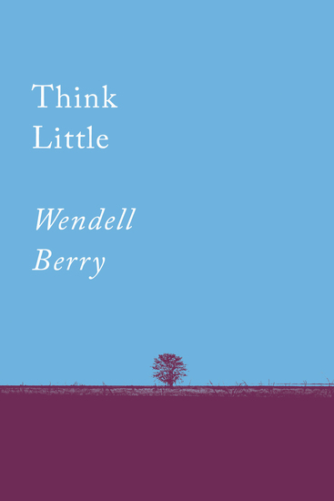 Think Little - Essays - cover