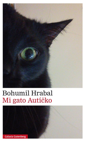 Mi gato Autícko - cover