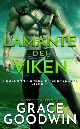 L’amante dei Viken - cover