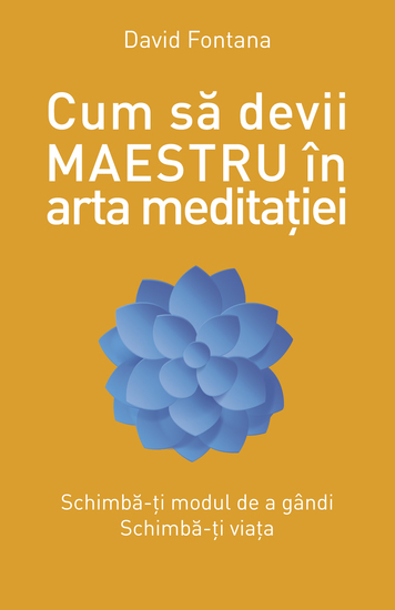 Cum să devii maestru în arta meditației - cover