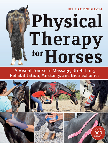 Physical Therapy for Horses - A Visual Course in Massage Stretching Rehabilitation Anatomy and Biomechanics - cover
