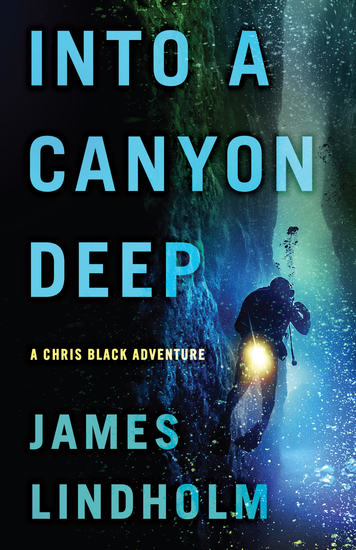 Into a Canyon Deep - A Chris Black Adventure - cover