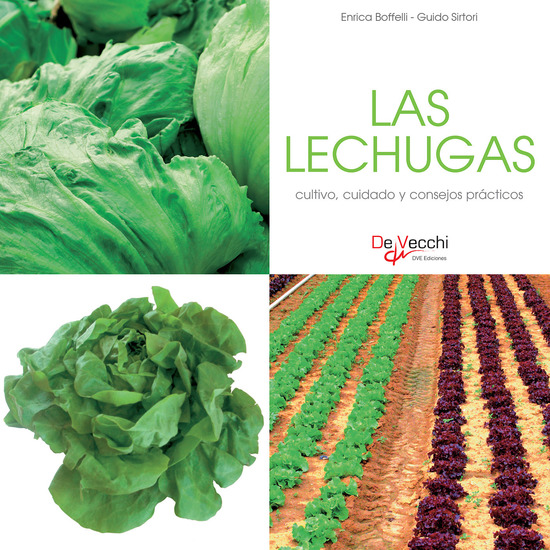 Las lechugas - cultivo cuidado y condejos prácticos - cover