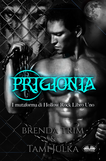 Prigionia - I Mutaforma Di Hollow Rock Libro Uno - cover