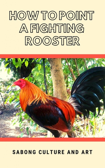 How to Point A Fighting Rooster - cover