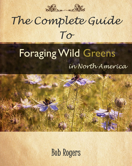 The Complete Guide to Foraging Edible Wild Greens in North America - cover