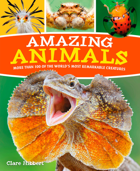 Amazing Animals - More than 100 of the World's Most Remarkable Creatures - cover