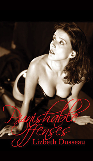 Punishable Offenses - cover