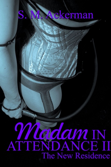 Madam In Attendance II - cover