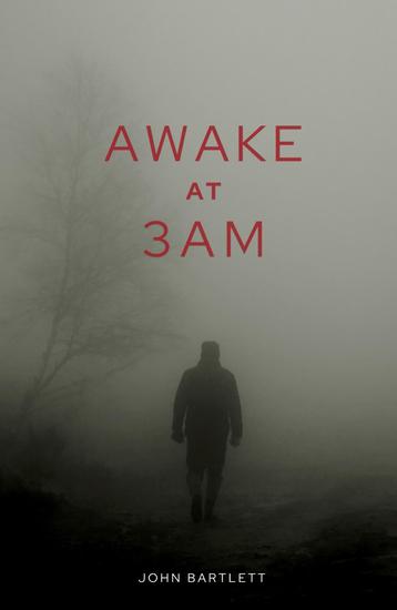 Awake at 3 am - cover