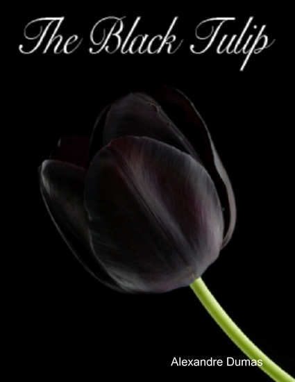 The Black Tulip - cover