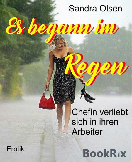 Es begann im Regen - Chefin verliebt sich in ihren Arbeiter - cover