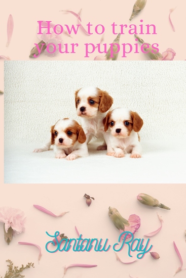How To Train Your Puppies - cover