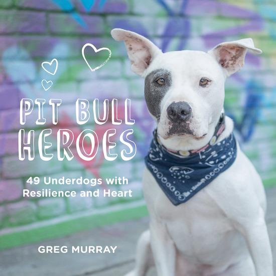 Pit Bull Heroes - 49 Underdogs with Resilience and Heart - cover