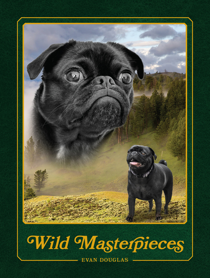 Wild Masterpieces - A Collection of Inspiring Animal and Pet Portraits - cover