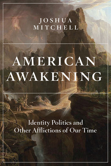 American Awakening - Identity Politics and Other Afflictions of Our Time - cover