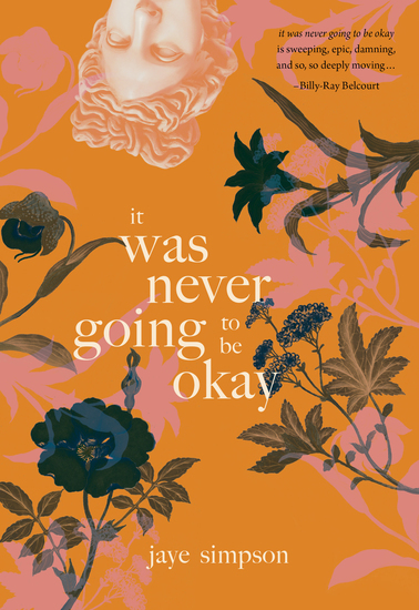 it was never going to be okay - cover
