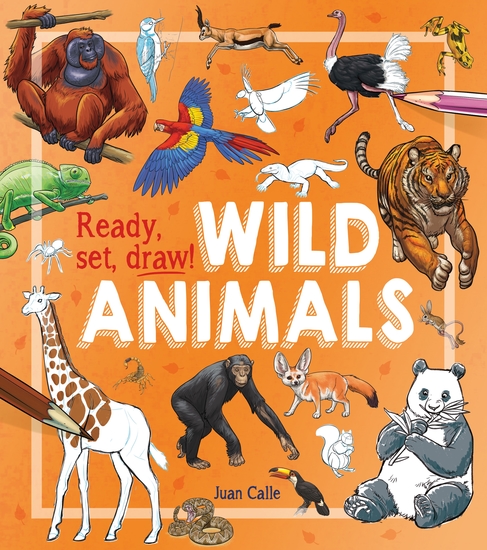 Ready Set Draw!: Wild Animals - cover