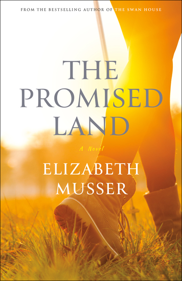 The Promised Land (The Swan House Series Book #3) - cover