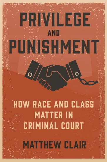 Privilege and Punishment - How Race and Class Matter in Criminal Court - cover