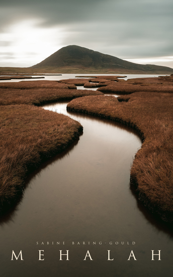 Mehalah - Gothic Novel (A Story of the Salt Marshes) - cover