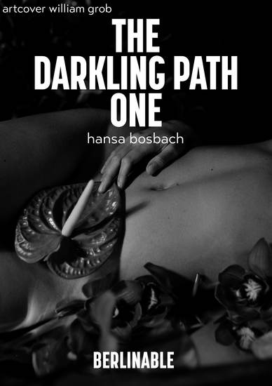 The Darkling Path - Episode 1 - King Queen D S in a world of dark magic - cover