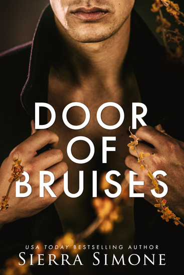 Door of Bruises - cover