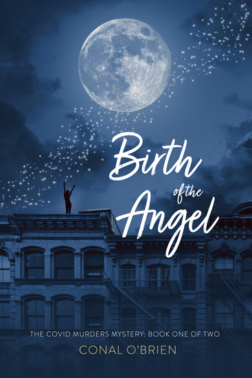 Birth of the Angel - The COVID Murders Mystery: Book One of Two - cover