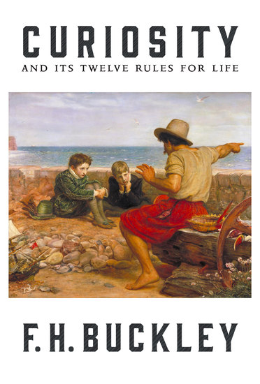 Curiosity - And Its Twelve Rules for Life - cover