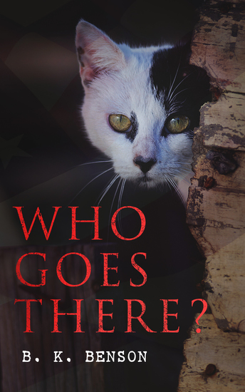 Who Goes There? - The Story of a Spy in the Civil War - cover