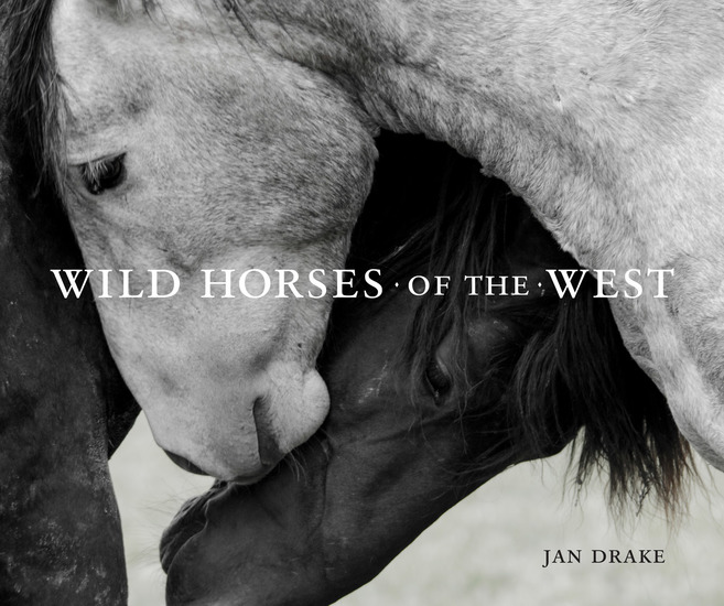 Wild Horses of the West - cover