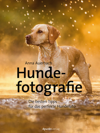 Hundefotografie - Die besten Tipps für das perfekte Hundefoto - cover