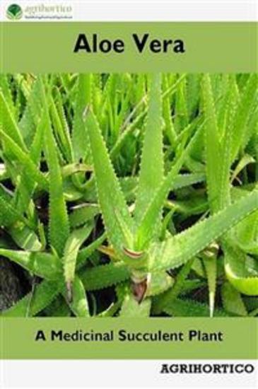 Aloe Vera - A Medicinal Succulent Plant - cover