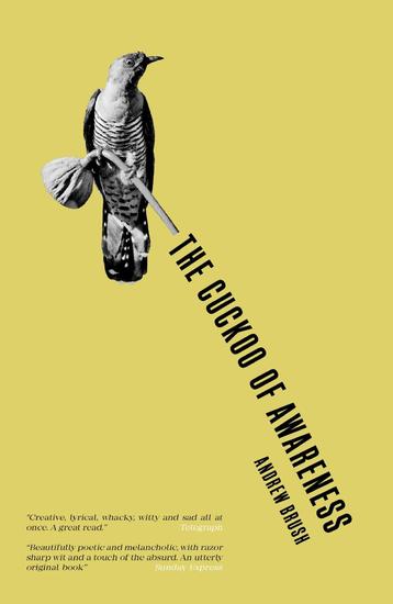 The cuckoo of awareness - cover