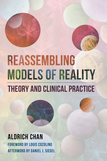 Reassembling Models of Reality: Theory and Clinical Practice - cover