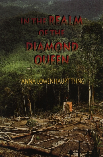 In the Realm of the Diamond Queen - Marginality in an Out-of-the-Way Place - cover