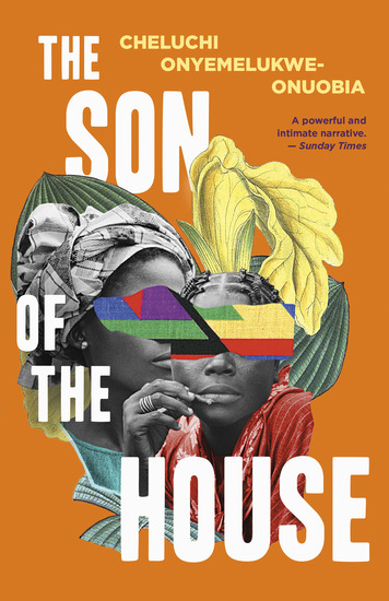 The Son of the House - cover