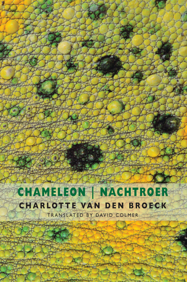 Chameleon | Nachtroer - cover