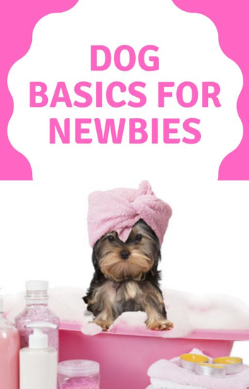 Dog Basics For Newbies - cover